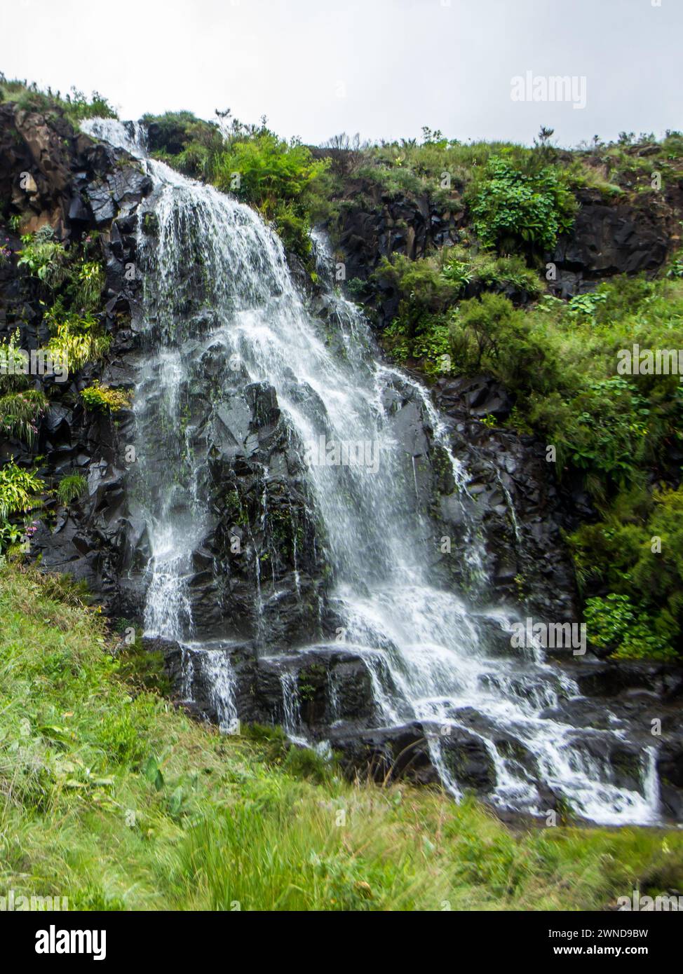 Naher Blick auf den Mahai-Wasserfall, wo sich die Wasserfälle von einer Klippe im Drakensberg-Gebirge befinden Stockfoto