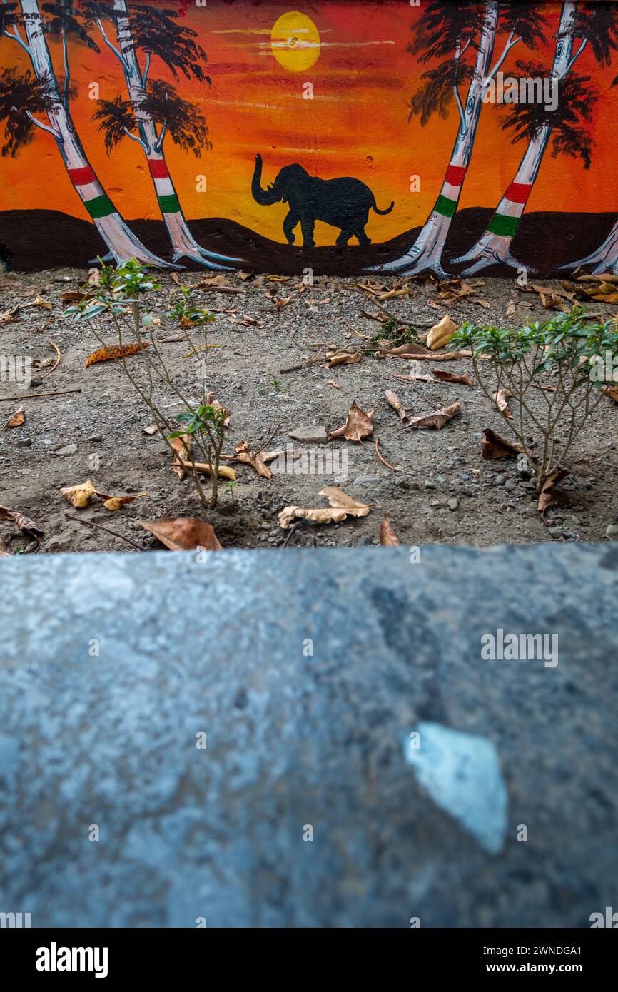 Februar 2024, Dehradun City Uttarakhand, Indien. Street Art und Graffiti blühten in Dehradun City, Uttarakhand, Indien, während Clean and Development Stockfoto