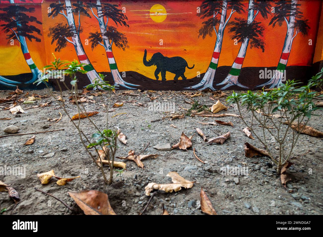 Februar 2024, Dehradun City Uttarakhand, Indien. Street Art und Graffiti blühten in Dehradun City, Uttarakhand, Indien, während Clean and Development Stockfoto