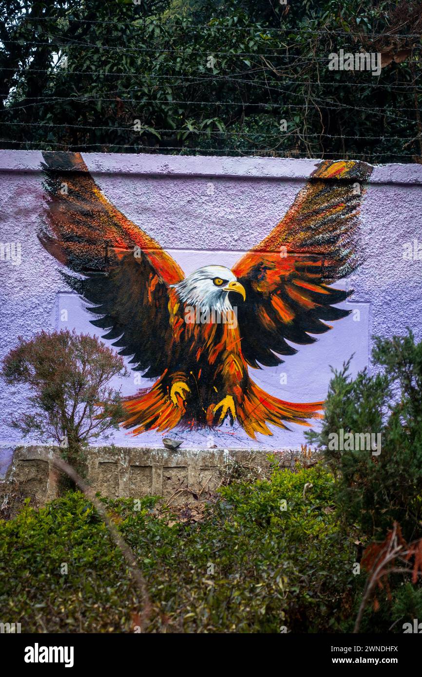 Januar 2024, Uttarakhand Indien. Künstlerische Tiermalereien: Lebendige Darstellungen von Tieren und Vögeln auf der Rajpur Road, Dehradun, Uttarakhand, Indien. Smar Stockfoto