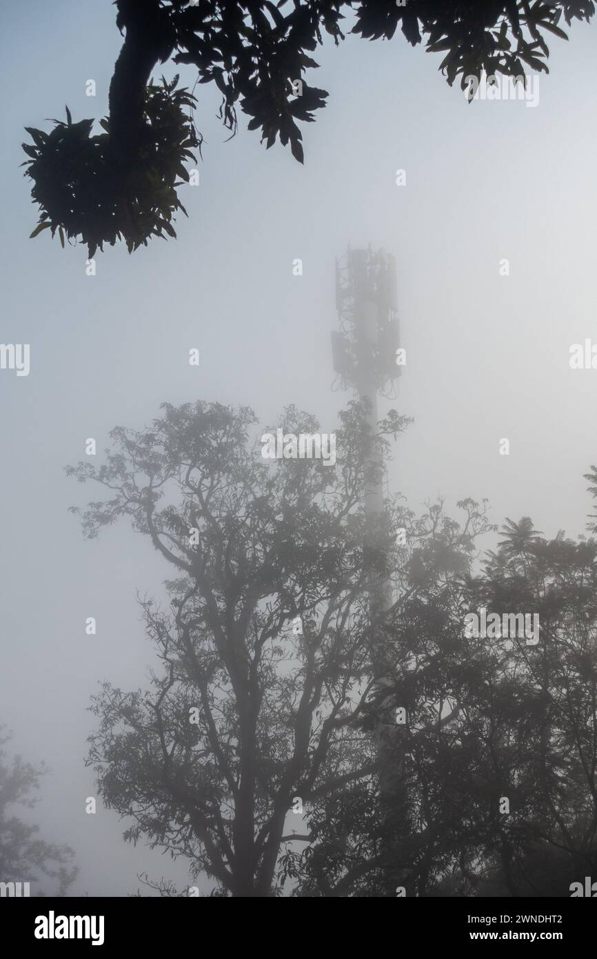 Nebeliger Wintermorgen: Kommunikationsturm schwach sichtbar durch dichten Nebel in Dehradun City, Uttarakhand, Indien Stockfoto
