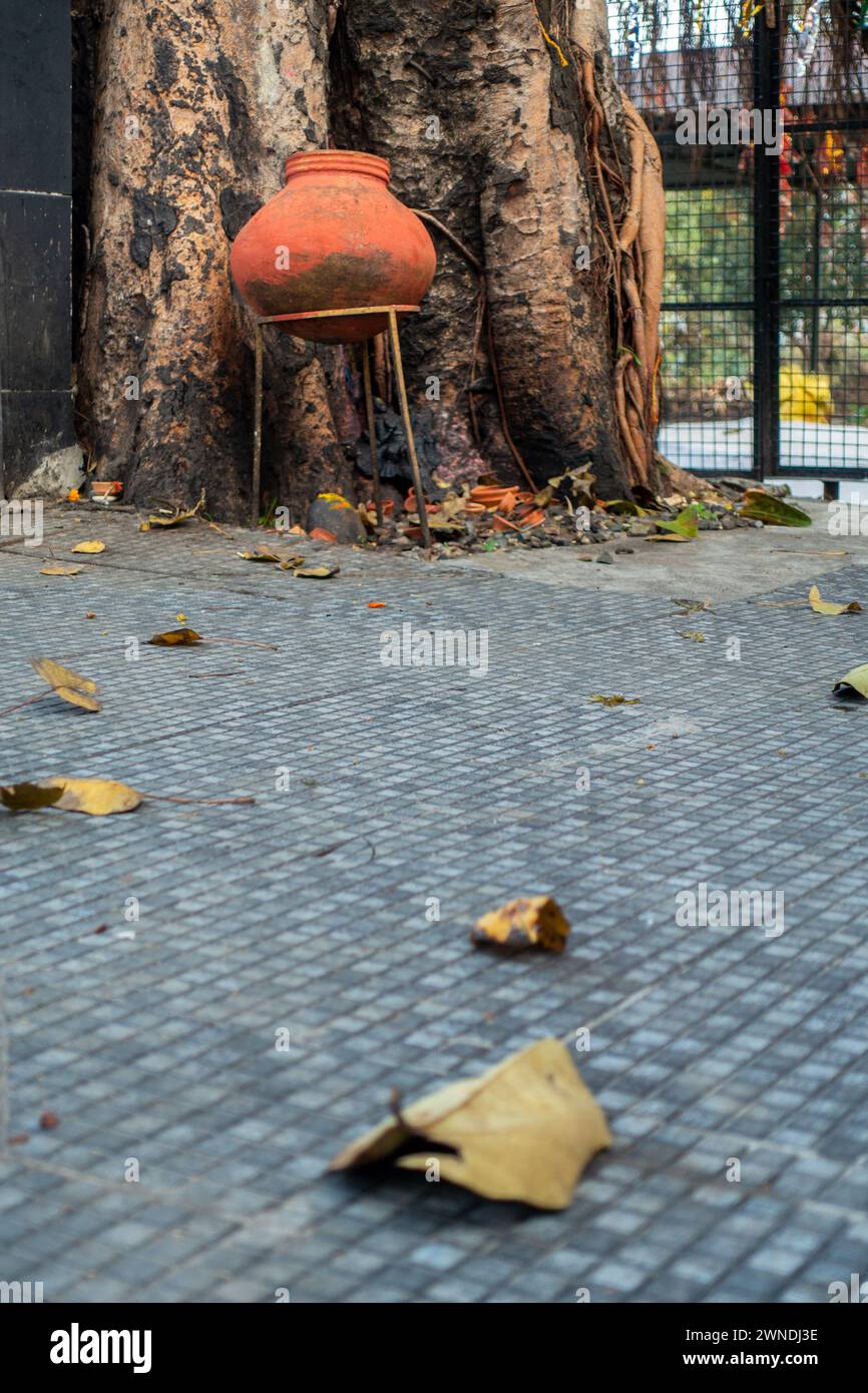 Traditioneller Tontopf unter dem Peepal Tree: Symbolische Opfergabe in einem nordindischen Tempel in Uttarakhand. Stockfoto