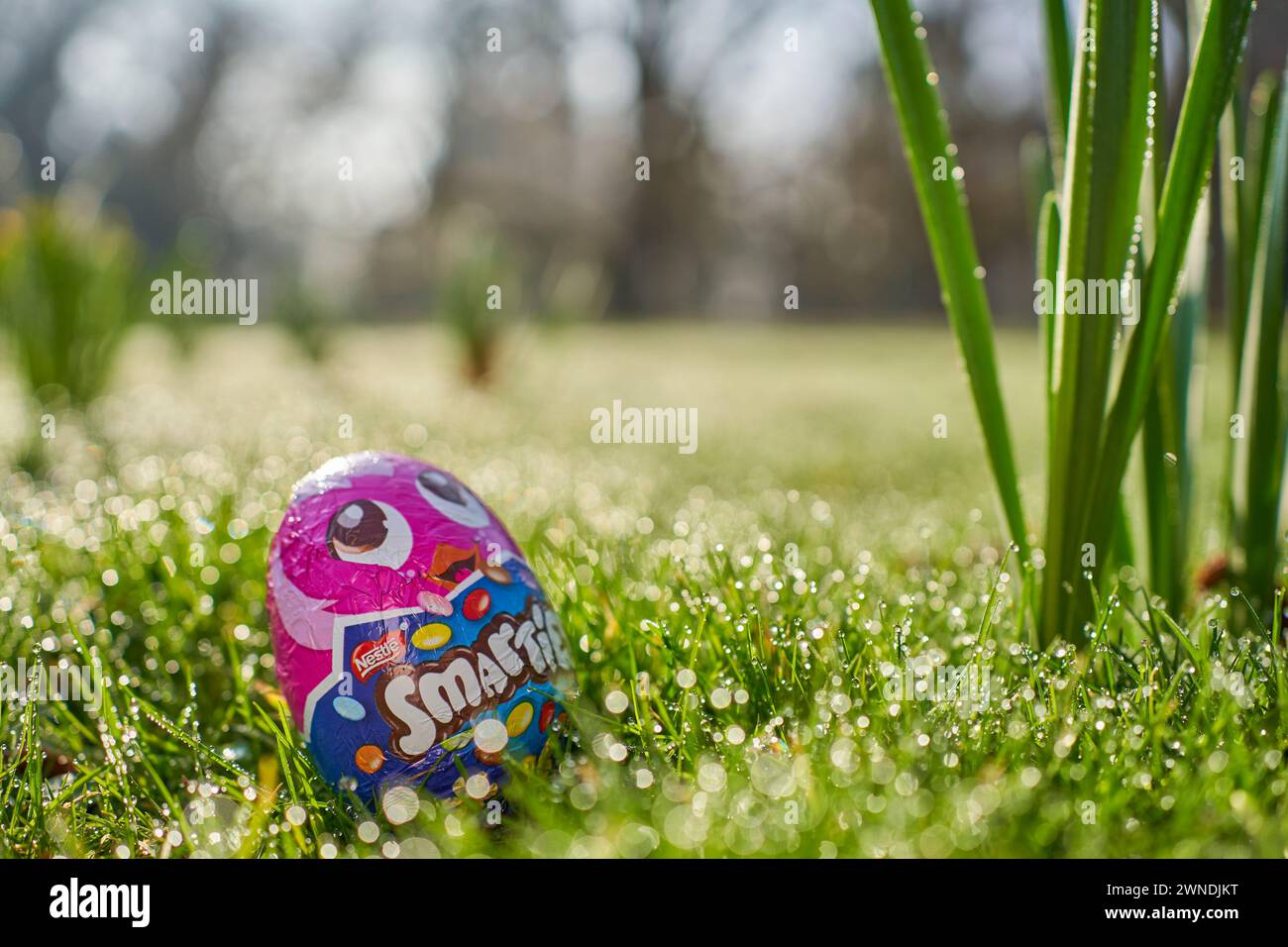 Stuttgart, Deutschland - 29. Februar 2024: Nestle Smarties osterei im Frühjahr. Stockfoto