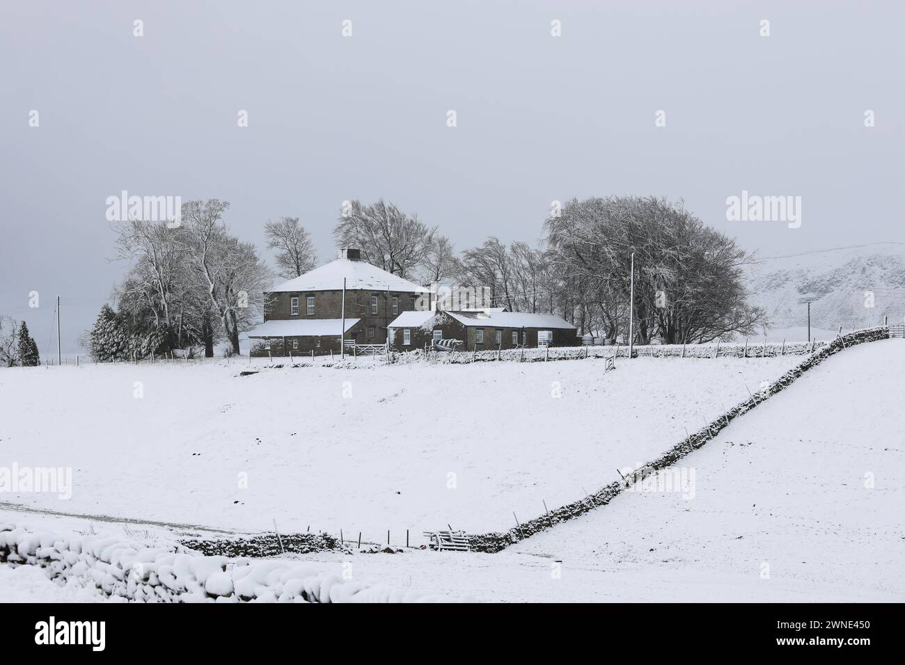 Teesdale, County Durham, Großbritannien. März 2024. Wetter in Großbritannien. Schnee trifft heute Morgen Teile von County Durham, besonders auf höherem Boden. Die Prognose sieht mehr Schnee vor, der lokal schwer sein kann, besonders über den Hügeln. Quelle: David Forster/Alamy Live News Stockfoto