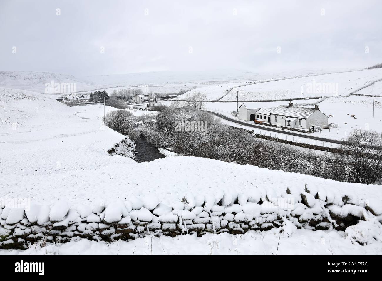 Teesdale, County Durham, Großbritannien. März 2024. Wetter in Großbritannien. Schnee trifft heute Morgen Teile von County Durham, besonders auf höherem Boden. Die Prognose sieht mehr Schnee vor, der lokal schwer sein kann, besonders über den Hügeln. Quelle: David Forster/Alamy Live News Stockfoto