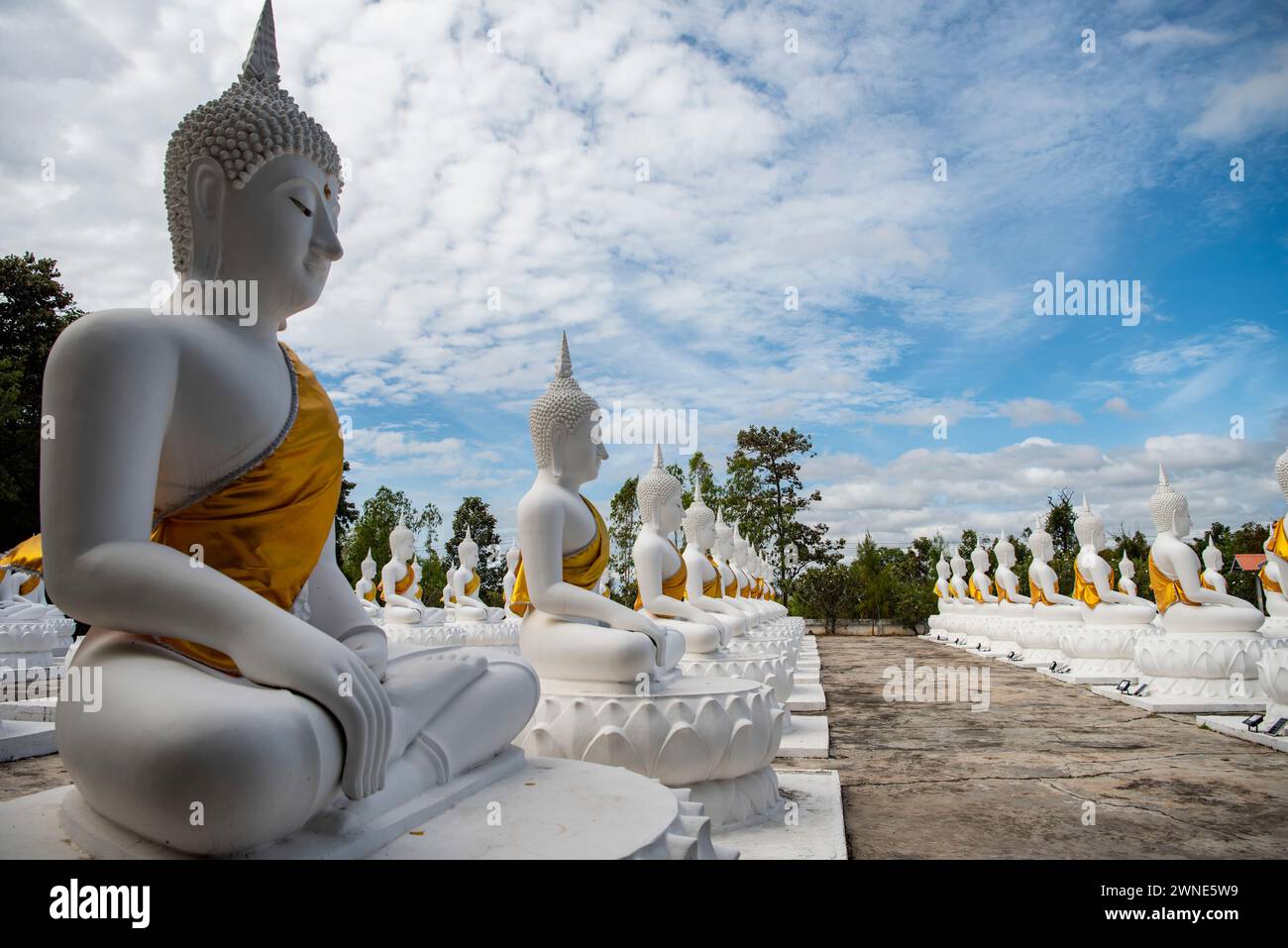 Whithe Buddha im Wat Bung Kee Lek in der Stadt Khemmarat in der Provinz Ubon Ratchathani in Isan von Thailand. Thailand, Khemmarat, 26. November 2023 Stockfoto
