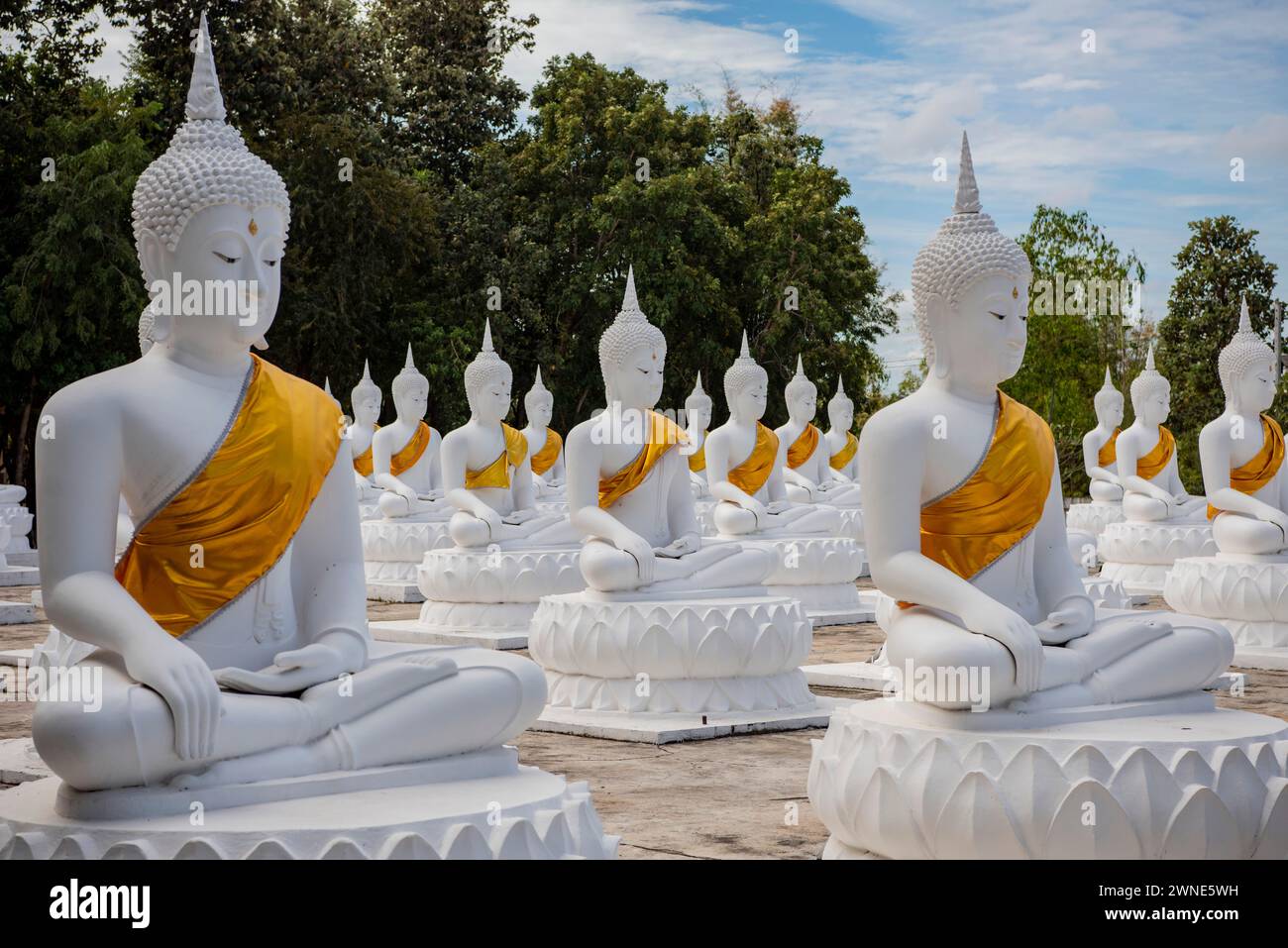 Whithe Buddha im Wat Bung Kee Lek in der Stadt Khemmarat in der Provinz Ubon Ratchathani in Isan von Thailand. Thailand, Khemmarat, 26. November 2023 Stockfoto