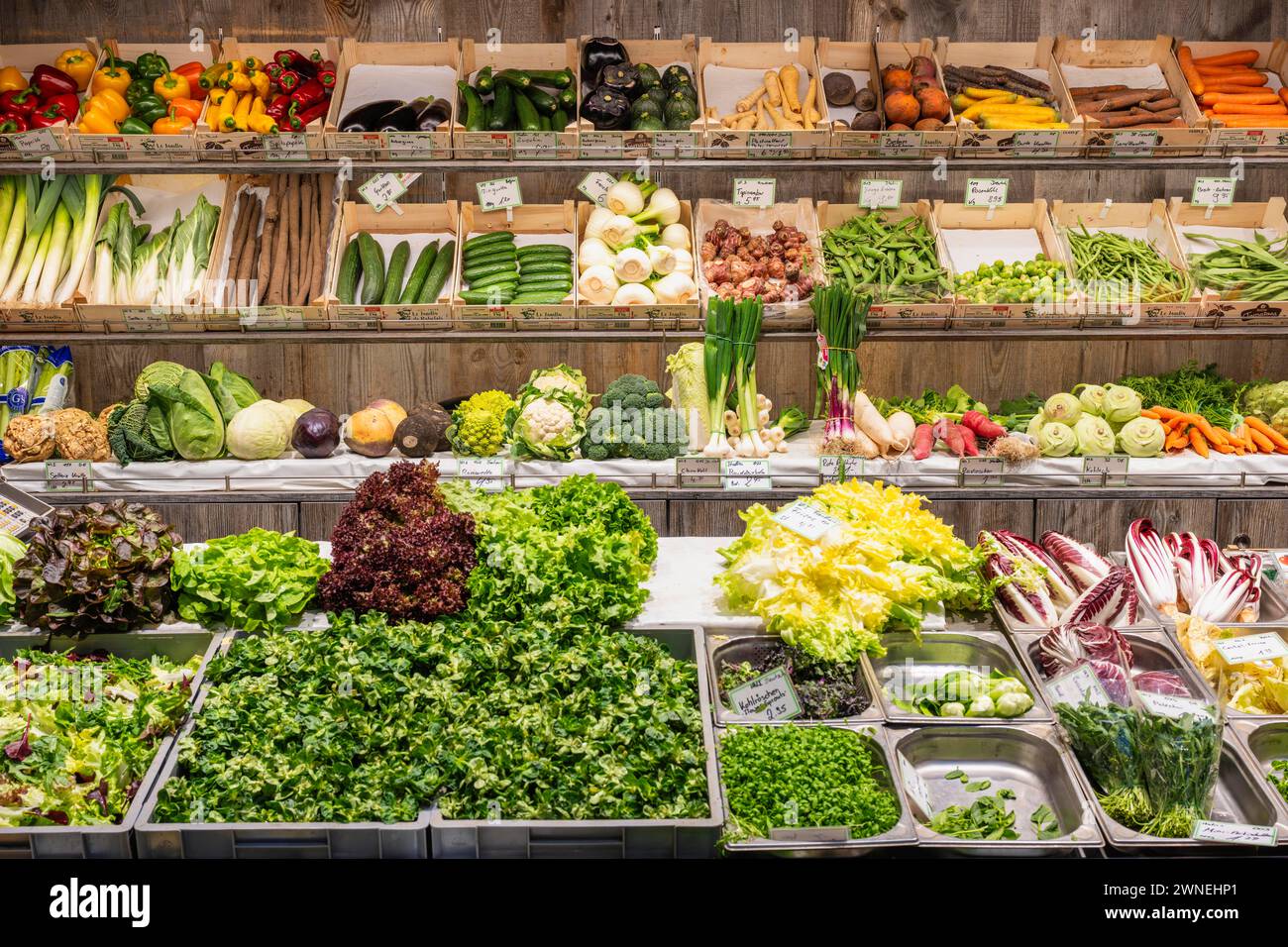 Marktstand mit einer großen Auswahl an lokalem und exotischem Gemüse in der Markthalle Stuttgart, Baden-Württemberg, Deutschland Stockfoto