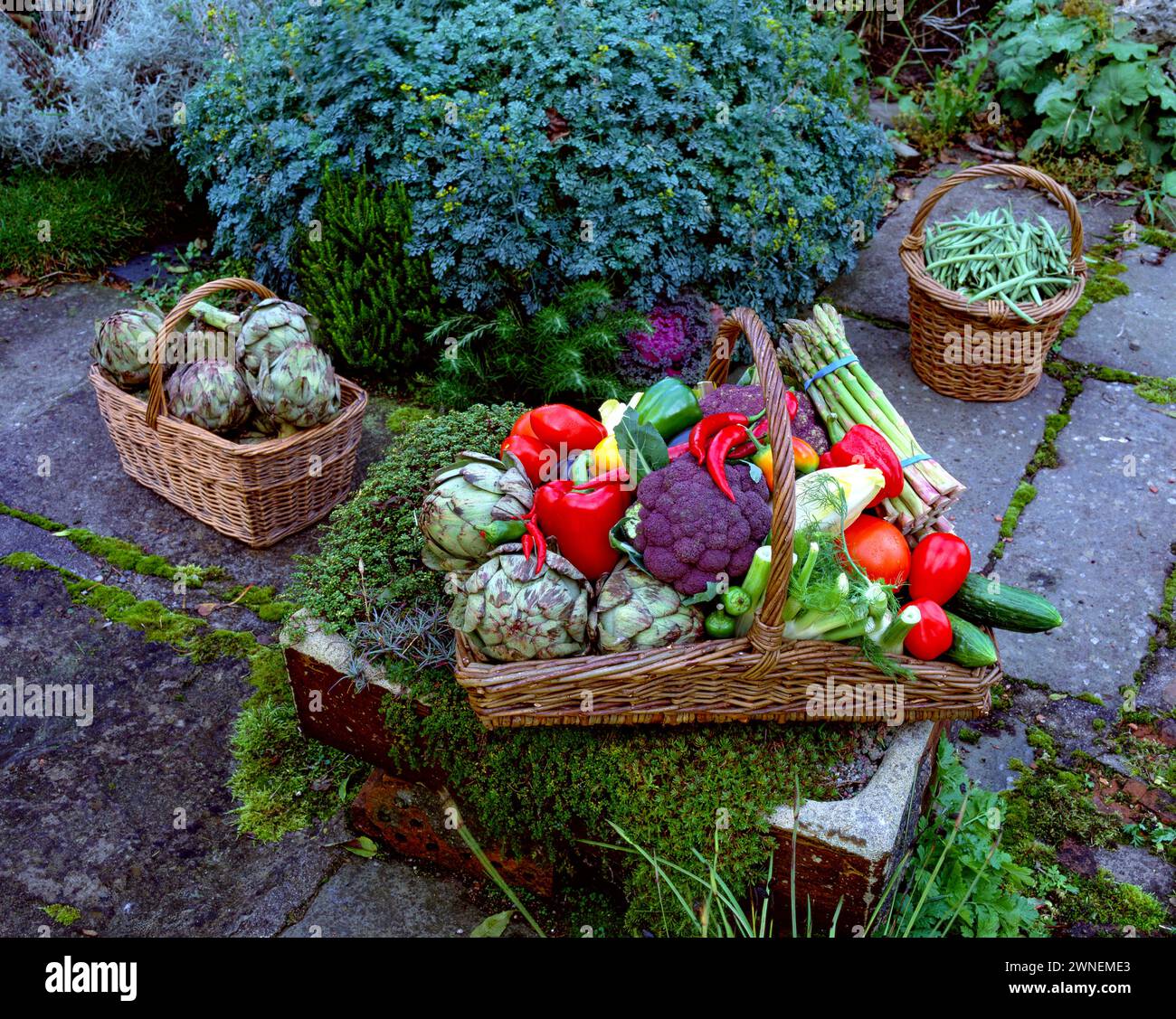 Körbe mit frisch gepflücktem Gartengemüse, in einer Gartenküche Stockfoto