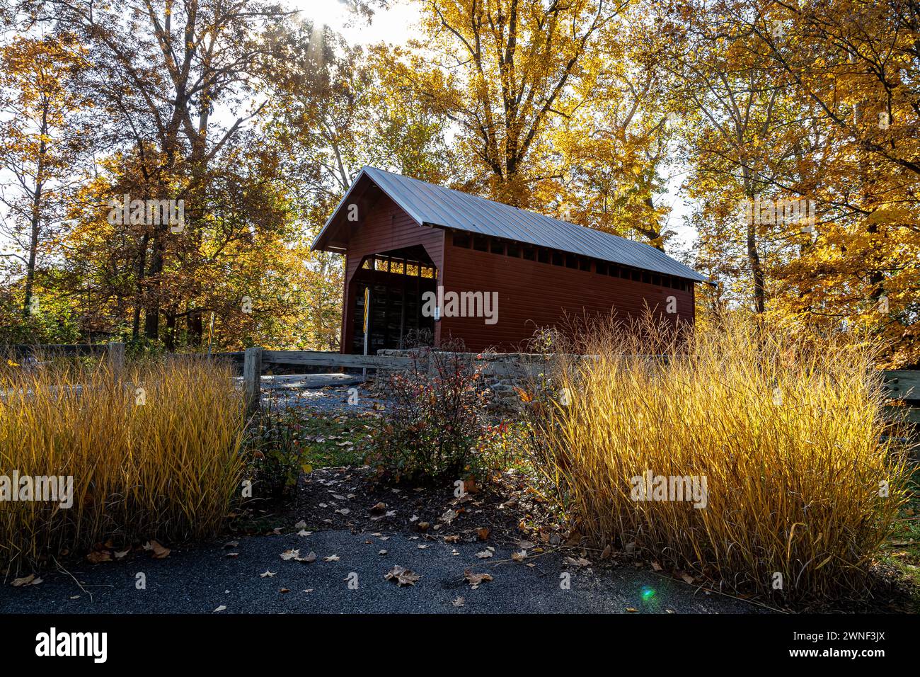 Die historische überdachte Brücke der Roddy Road ist in den lebhaften Farben des Herbstes getaucht. Stockfoto