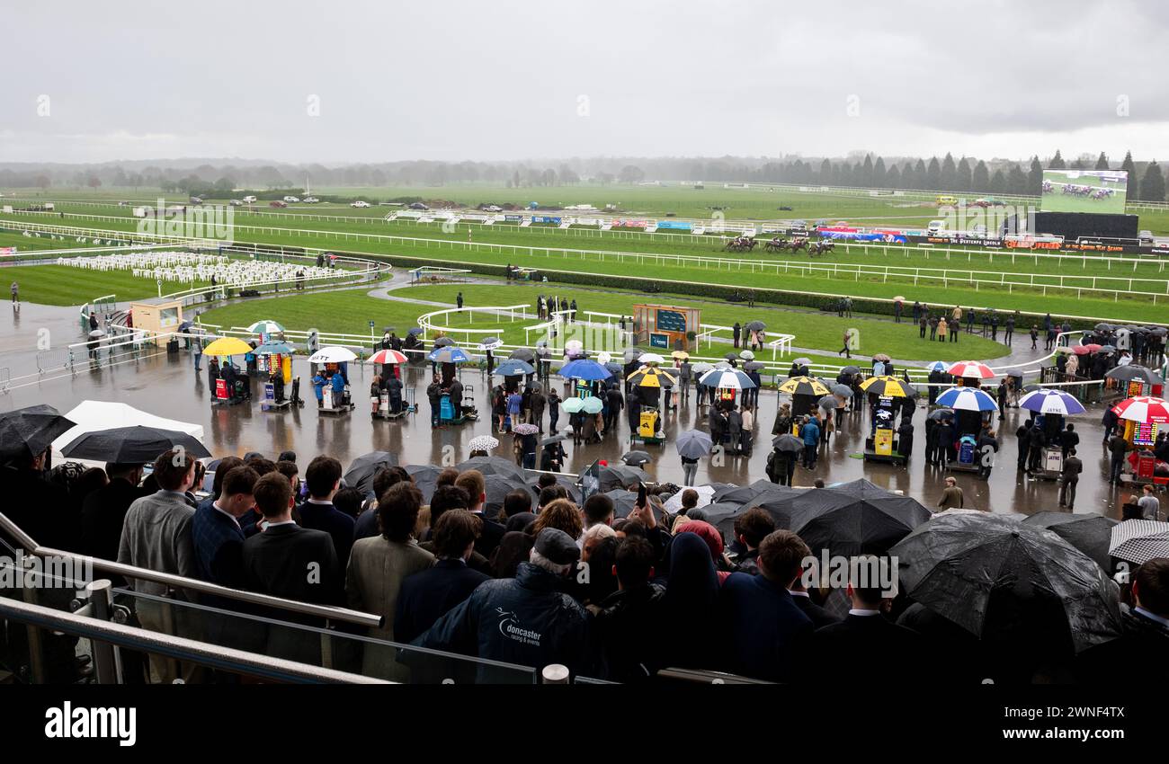 Die Läufer in den Tips für jedes Rennen bei raceday-ready.com Mares Novizen stürzen sich an den Tribünen vorbei, in einem Rennen, das Pinot Rouge und Jockey Edward Austin für Trainer Susan Corbett und Besitzer S Oliver gewonnen haben. Stockfoto