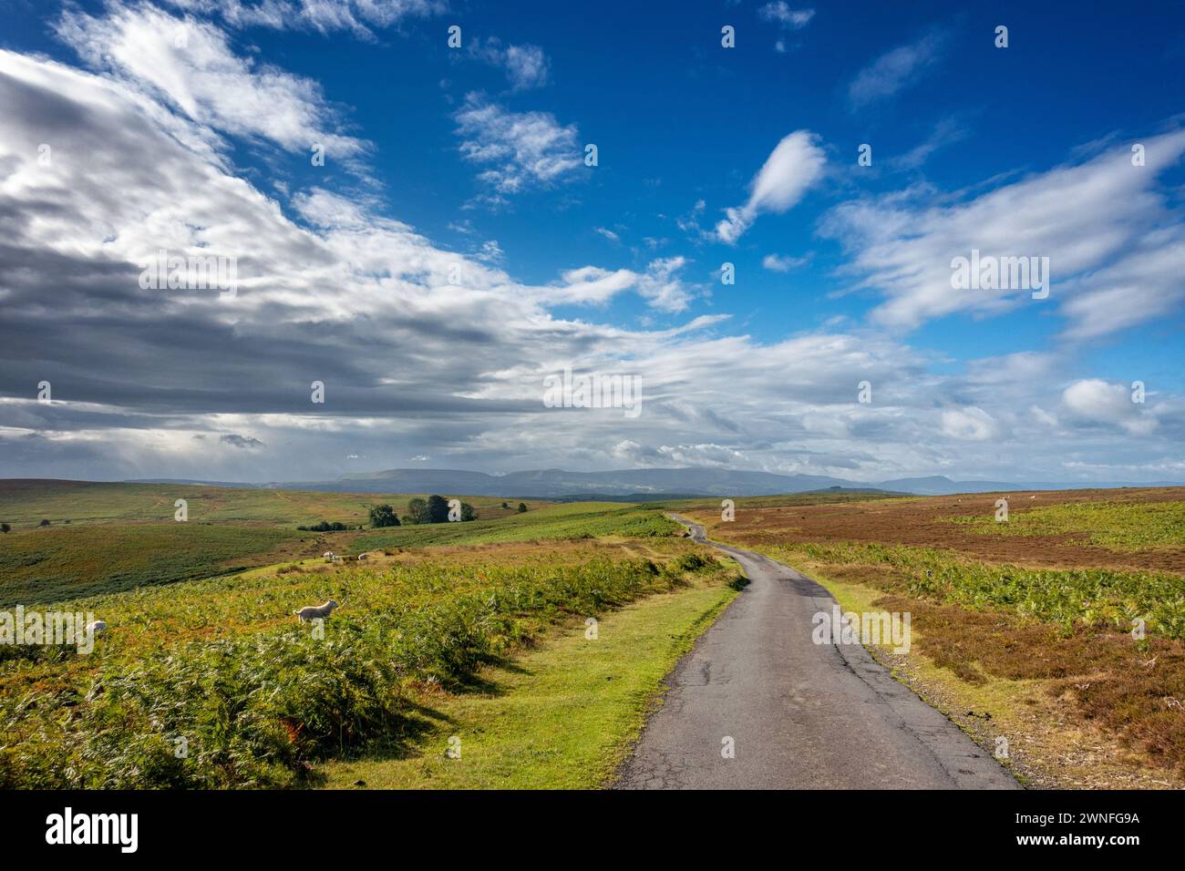 Die schöne einspurige, ruhige Straße über Llanbedr Hill in der Nähe von Builth Wells, Powys in Wales, Großbritannien Stockfoto