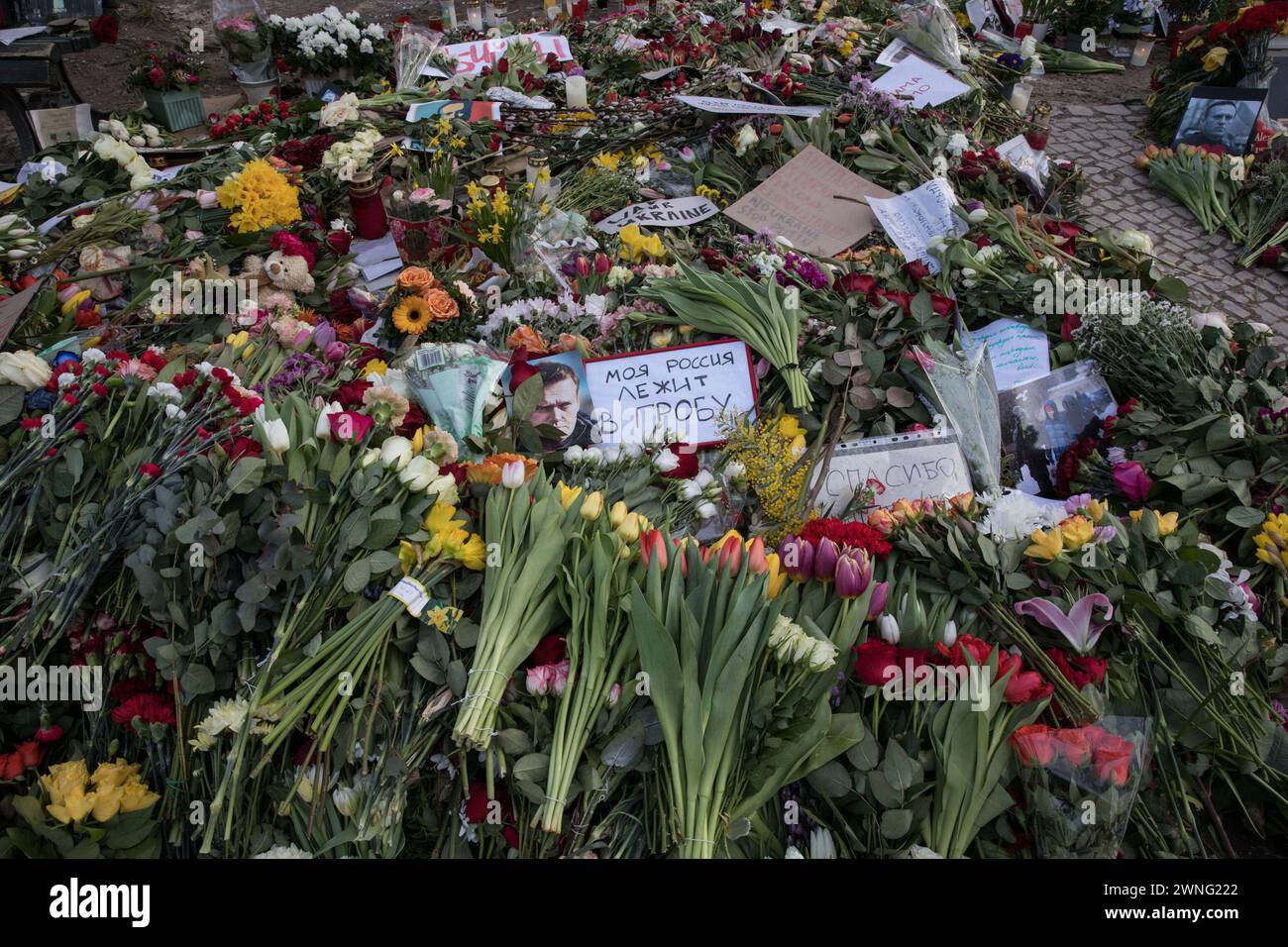 Berlin, Deutschland, am 2. März 2024. Seit dem Tod Alexej Nawalnys am 16. Februar 2024 haben die Trauernden in Berlin kontinuierlich Blumen, Kerzen und Bilder vor der russischen Botschaft gelegt und damit dem Oppositionsführer geehrt, der mit 47 Jahren starb. Nawalny, ein lautstarker Kritiker der Korruption innerhalb der politischen Elite Russlands, ist zu einem Symbol des Widerstands gegen politische Repression geworden. Die Gedenkstätte, die seit Nawalnys Tod einen stetigen Strom von Individuen erlebt hat, ist ein ergreifendes Zeugnis für seinen Einfluss auf die globale Bühne und sein unerbittliches Streben nach einer transparenten und demokratischen Ru Stockfoto