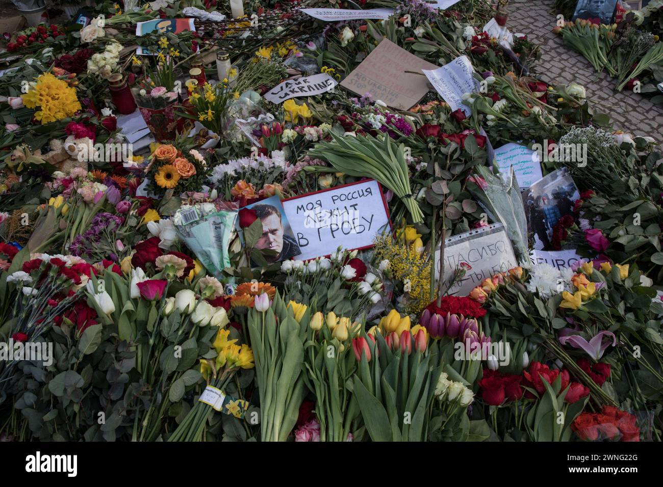 Berlin, Deutschland, am 2. März 2024. Seit dem Tod Alexej Nawalnys am 16. Februar 2024 haben die Trauernden in Berlin kontinuierlich Blumen, Kerzen und Bilder vor der russischen Botschaft gelegt und damit dem Oppositionsführer geehrt, der mit 47 Jahren starb. Nawalny, ein lautstarker Kritiker der Korruption innerhalb der politischen Elite Russlands, ist zu einem Symbol des Widerstands gegen politische Repression geworden. Die Gedenkstätte, die seit Nawalnys Tod einen stetigen Strom von Individuen erlebt hat, ist ein ergreifendes Zeugnis für seinen Einfluss auf die globale Bühne und sein unerbittliches Streben nach einer transparenten und demokratischen Ru Stockfoto