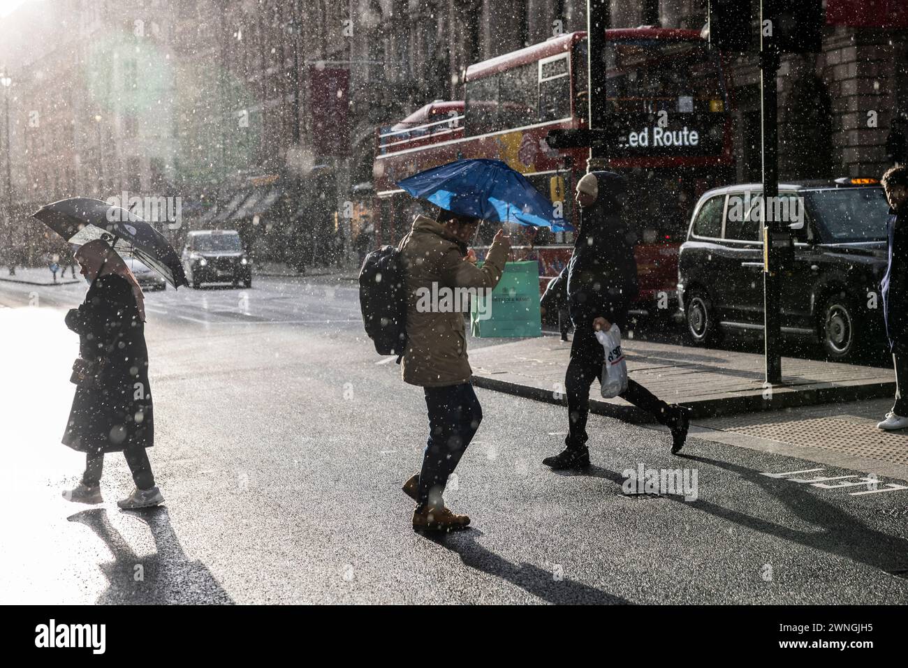 Fußgänger unterkommen unter Regenschirmen, während sie sich bei Regenschauer in London, Großbritannien, am Kaufhaus Fortnum & Mason auf Piccadilly vorbeibewegen Stockfoto Fußgänger unterkommen unter Regenschirmen, während sie sich bei Regenschauer in London, Großbritannien, am Kaufhaus Fortnum & Mason auf Piccadilly vorbeibewegen Stockfoto