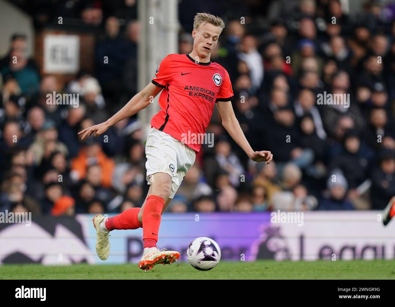 LONDON, ENGLAND - 2. MÄRZ: Jan Paul van Hecke aus Brighton & Hove Albion während des Premier League-Spiels zwischen Fulham und Brighton & Hove Albion im Craven Cottage am 2. März 2024 in London. (Foto: Dylan Hepworth/MB Media) Stockfoto