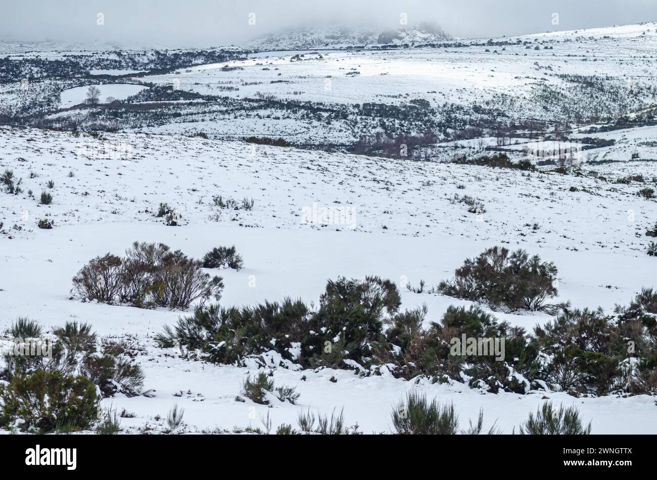 Winterlandschaft mit Schnee im Peneda Geres Nationalpark. Portugal Stockfoto