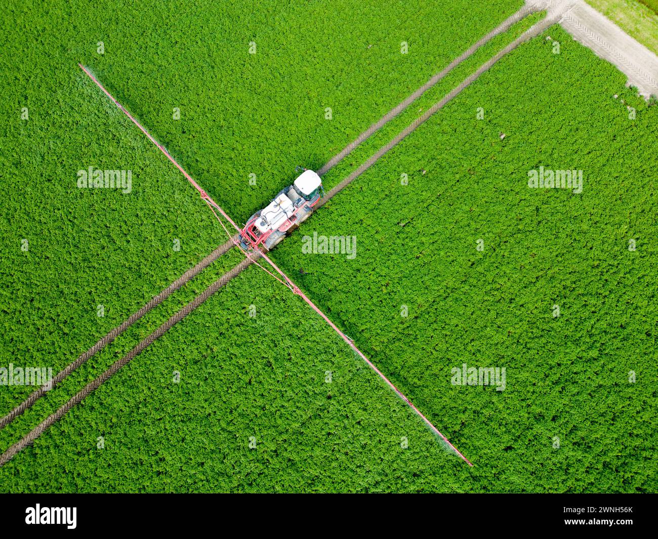 Luftaufnahme einer Maschine, die chemische Zusätze auf Feldfrüchte in einem landwirtschaftlichen Feld sprüht Stockfoto