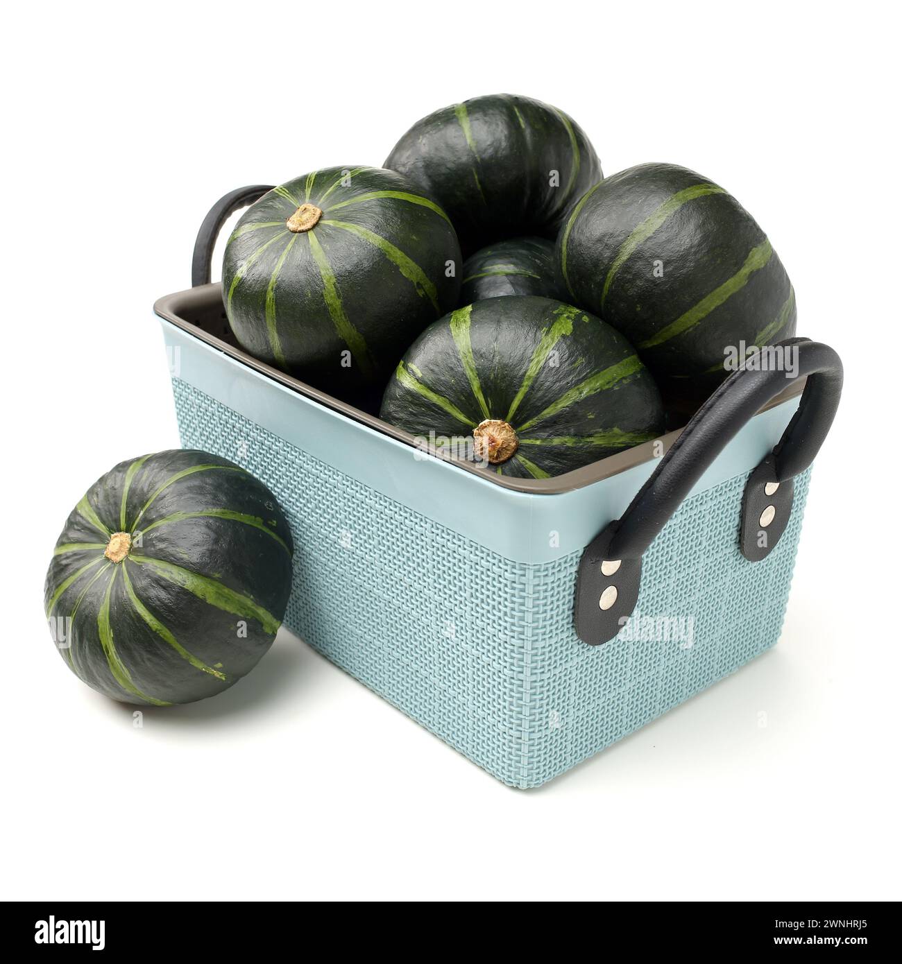 Grüner Minikürbis isoliert auf weißem Hintergrund. Stockfoto