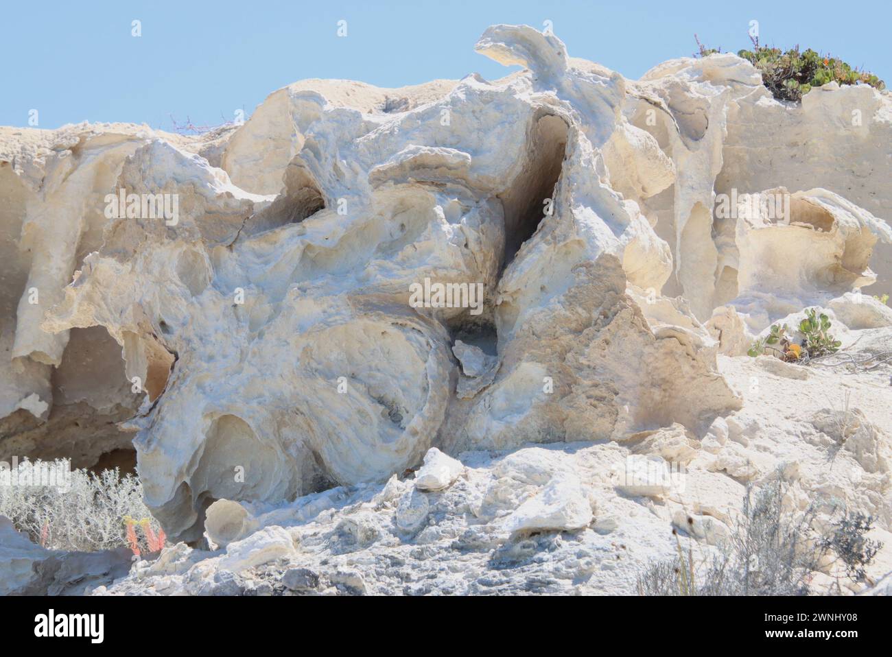 Wind Erodierte Kalksteinskulptur, Fitzgerald Coast, Western Australia Stockfoto