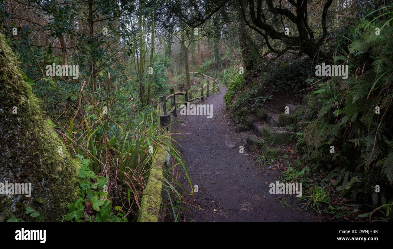 Waldweg und rustikaler Zaun, Yeovil Country Park. Somerset, Großbritannien Stockfoto