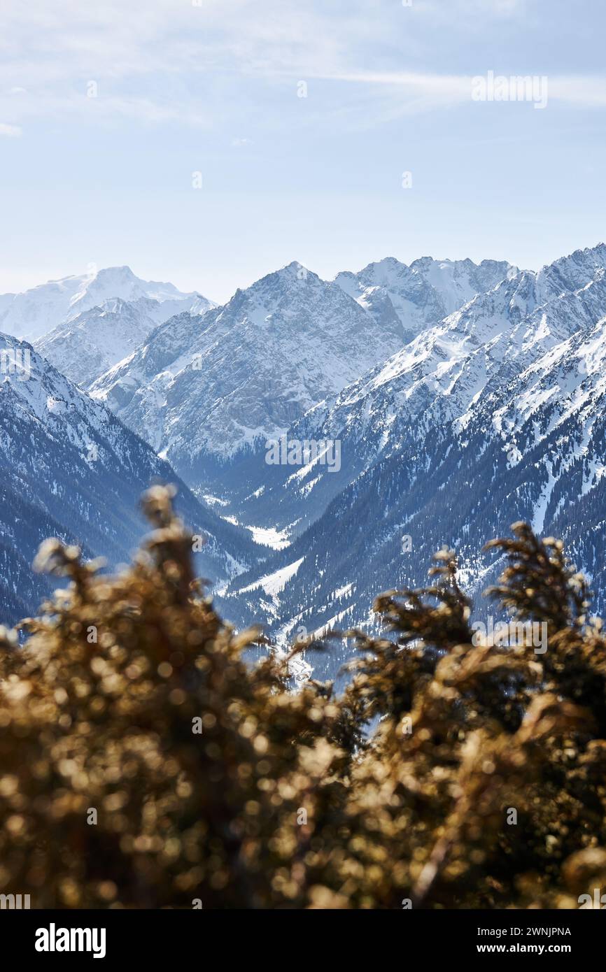 Wunderschöne Bergschlucht. Winterlandschaft des Hochlands, abwechslungsreiches Foto. Natürliche Hintergrundbilder. Schneebedeckte Gipfel Stockfoto