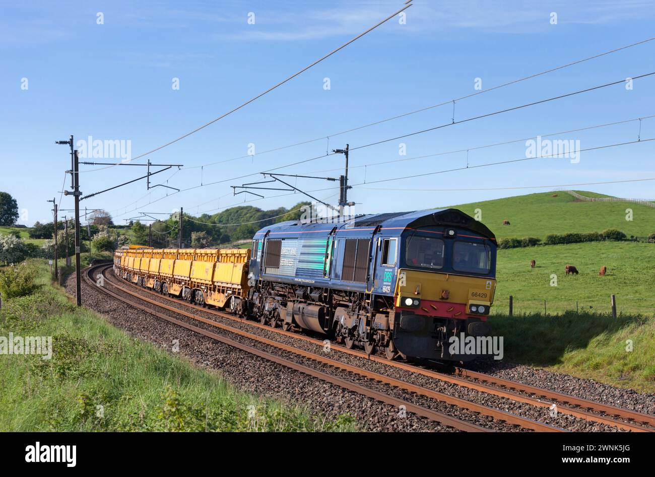 Direct Rail Services Diesellokomotive der Baureihe 66 66429, die einen Güterzug mit Material für die Netzbahn entlang der Hauptstrecke der Westküste transportiert Stockfoto