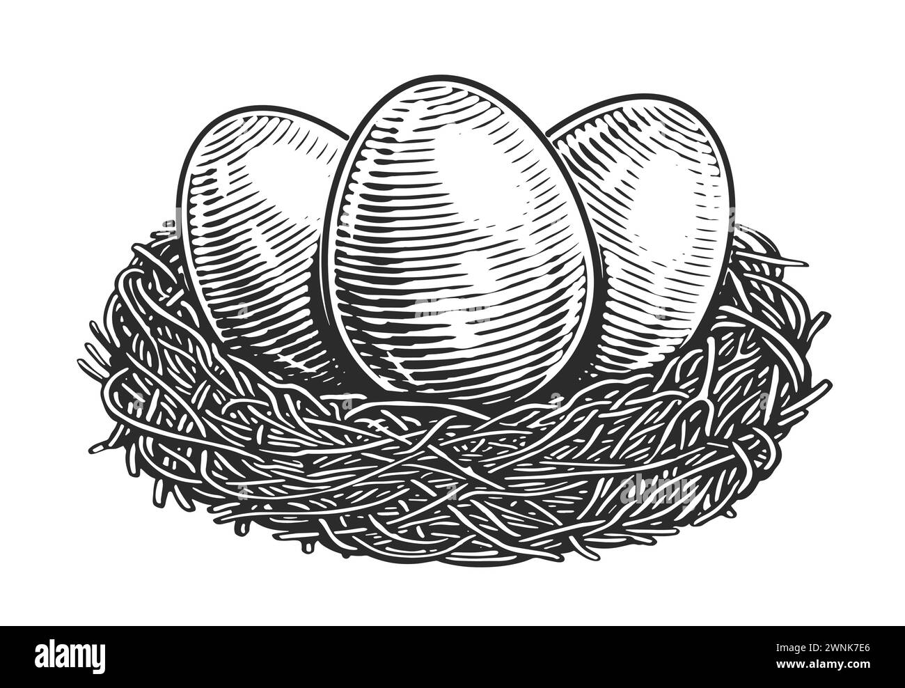 Hühnereier im Nest. Bio-Agrarprodukte. Handgezeichnete Skizze Vintage Vektor Illustration Stock Vektor