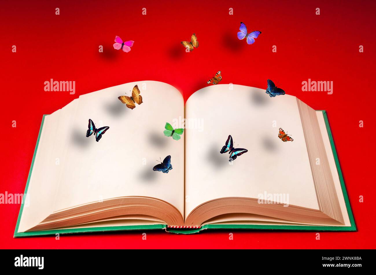 Öffnen Sie das Buch und bunten Schmetterlinge fliegen darüber Stockfoto