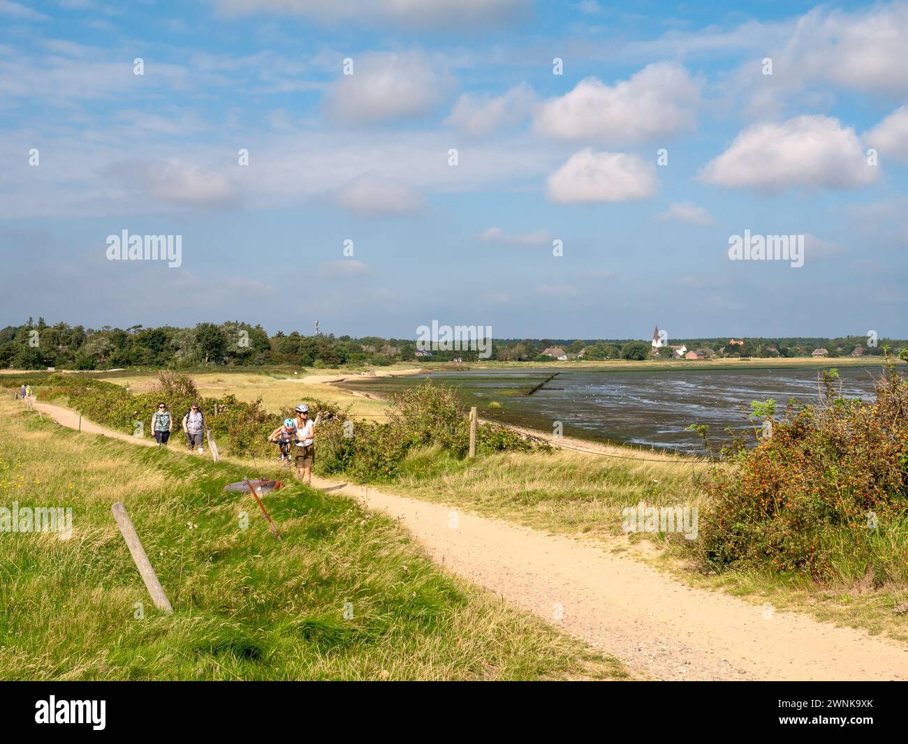 Menschen auf Wanderwegen entlang des Wattenmeers auf der Insel Amrum, Nordfriesland, Schleswig-Holstein, Deutschland Stockfoto