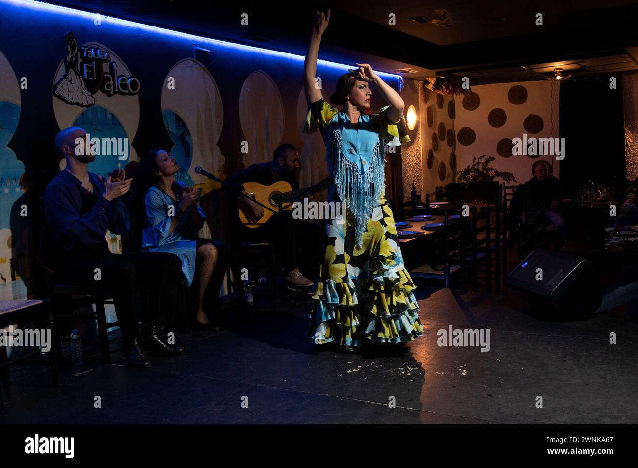 Eine Flamenco-Tanz- und Musikshow in einem der Flamenco-Clubs in Cordoba in Andalusien, Südspanien. Es ist eine der wichtigsten Shows für Besichtigungen Stockfoto