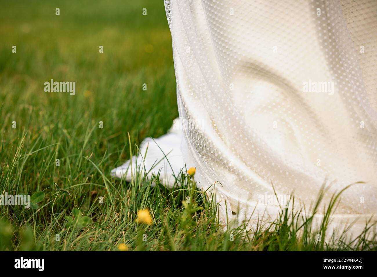 Details zur Vorbereitung und zum Empfang am Hochzeitstag, weißes Kleid mit niedlichen Blumendetails und eucaliptus-Dekoration. Stockfoto