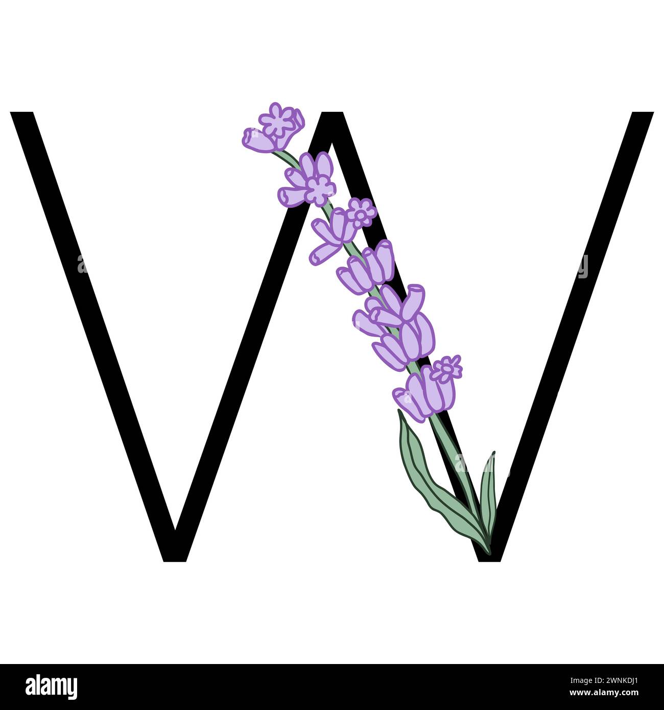 Lavendelblüte violett kleines Blumenalphabet für die Gestaltung von Karte oder Einladung. Vektor-Illustrationen, isoliert auf weißem Hintergrund für Sommer Blumen Stock Vektor