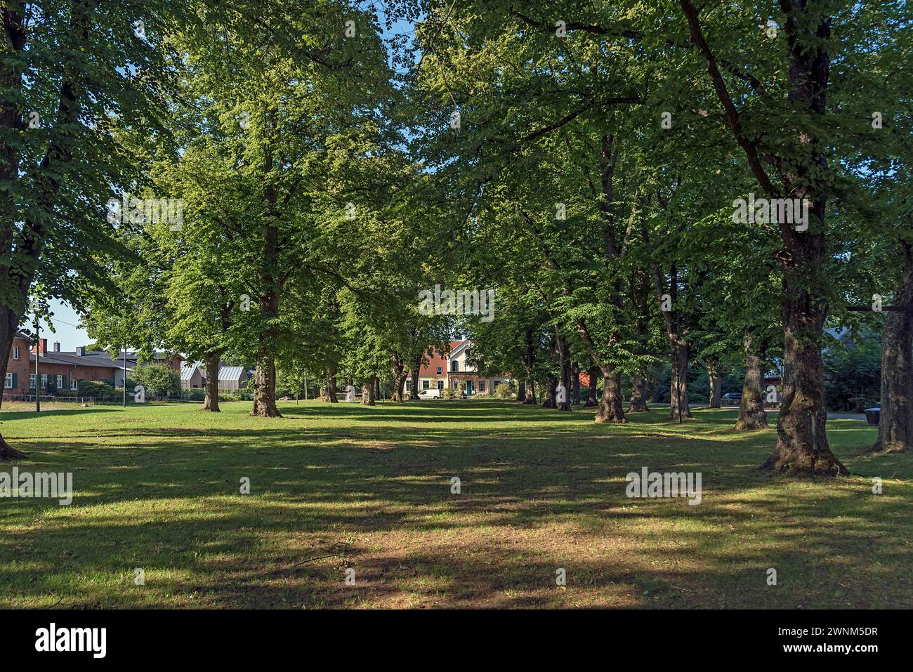 Lindenallee (Tilla), hinter einer um 1900 erbauten Jugendstilvilla, Roegnitz, Mecklenburg, -Vorpommern, Deutschland Stockfoto