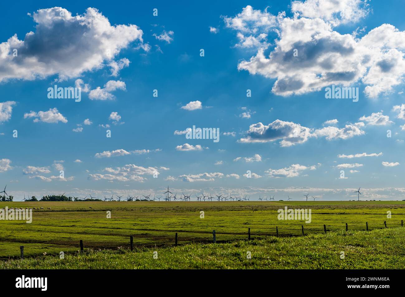 Ausgedehnte grüne Wiese mit Windrädern und bewölktem Himmel, Wattenmeer, Norddeich, Ostfriesland, Niedersachsen Stockfoto