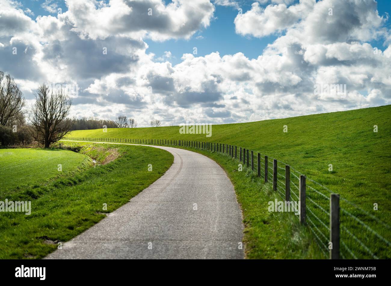 Eine leere Landstraße schlängelt sich entlang grüner Wiesen und einem Zaun unter bewölktem Himmel, Radweg leer, Ostfriesland, Niedersachsen Stockfoto