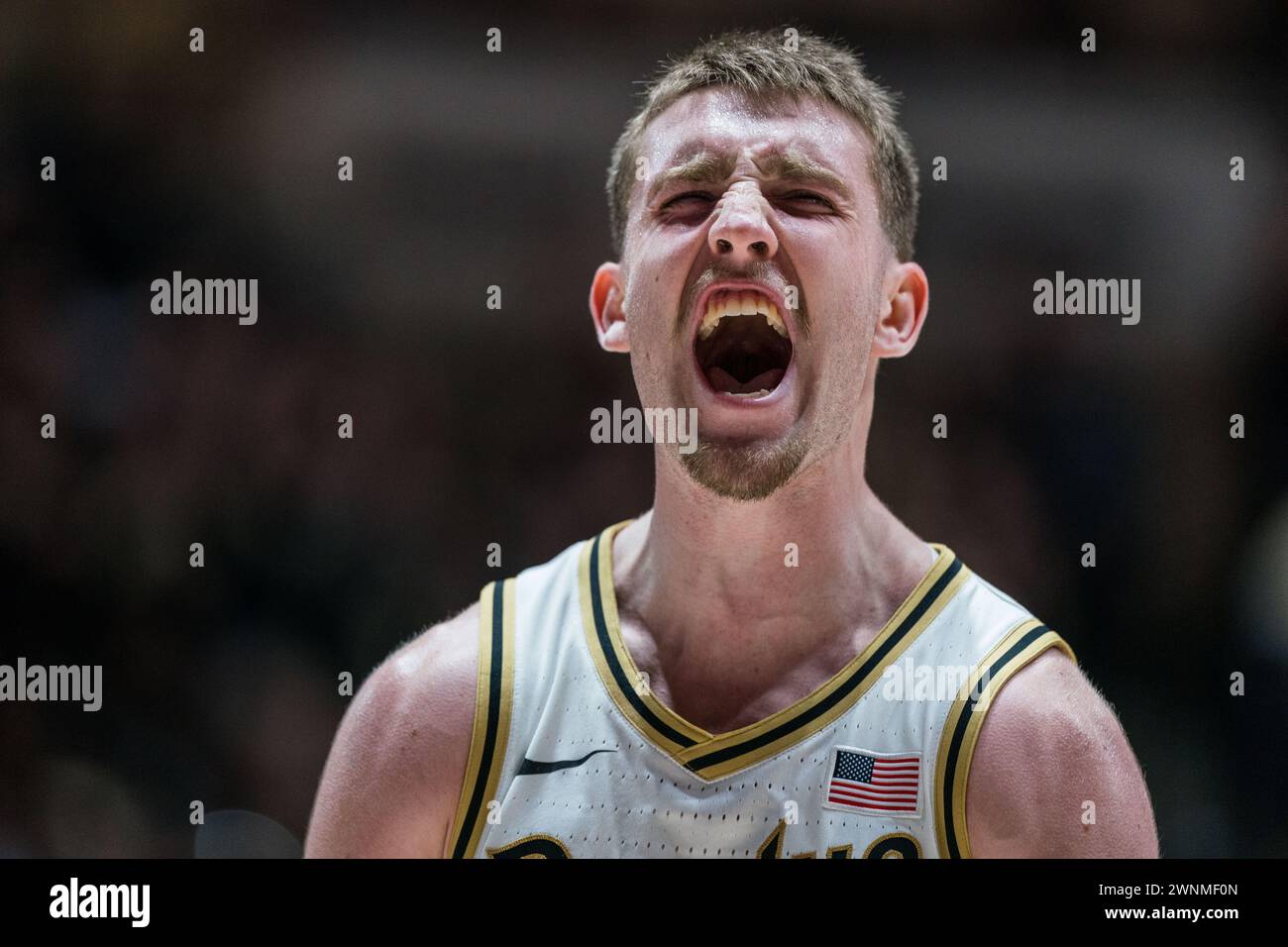 West Lafayette, Indiana, USA. März 2024. Purdue Boilermakers Guard BRADEN SMITH (3) schreit während des NCAA menÃs Basketballspiels zwischen den Michigan State Spartans und den Purdue Boilermakers am Samstag, den 2. März 2024, in der Mackey Arena in West Lafayette, Ind (Kreditbild: © David Wegiel/ZUMA Press Wire) NUR REDAKTIONELLE VERWENDUNG! Nicht für kommerzielle ZWECKE! Stockfoto