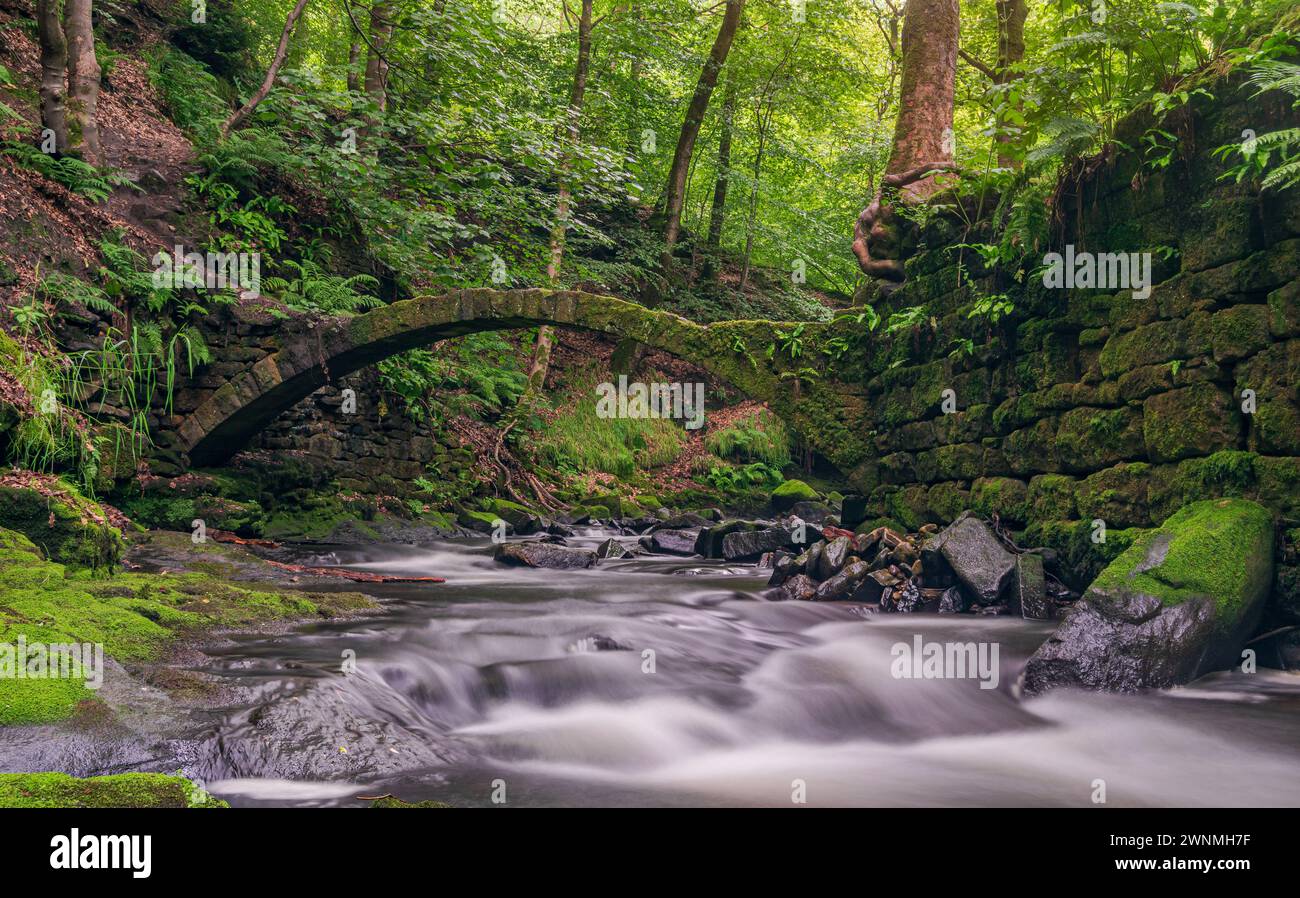 Healey Dell Nature Reserve Stockfoto
