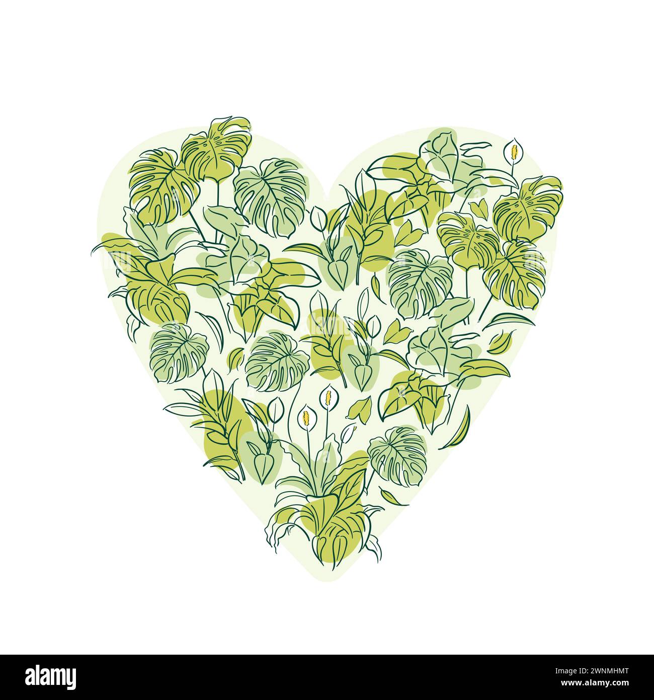 Ficus, Syngonium, Monstera, Spathiphyllum. Exotische Pflanze. Häusliche Blumenzucht, Hauspflanzen, Hobby. Botanische Illustration tropischer Dschungel unberührte Vorderseite Stock Vektor