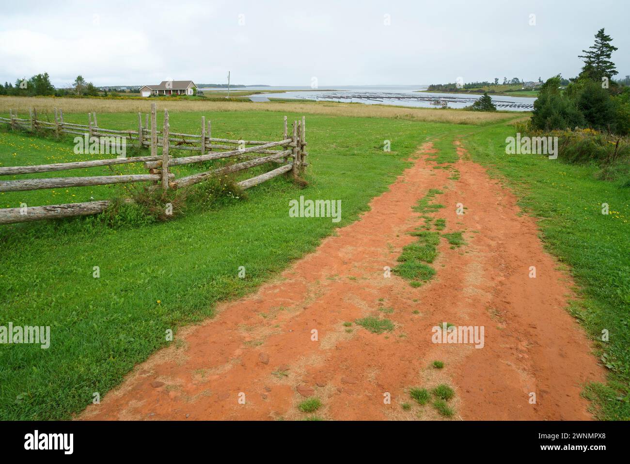 Red Dirt Trail überquert ein Feld und führt zur Rustico Bay, Prince Edward Island, Kanada Stockfoto