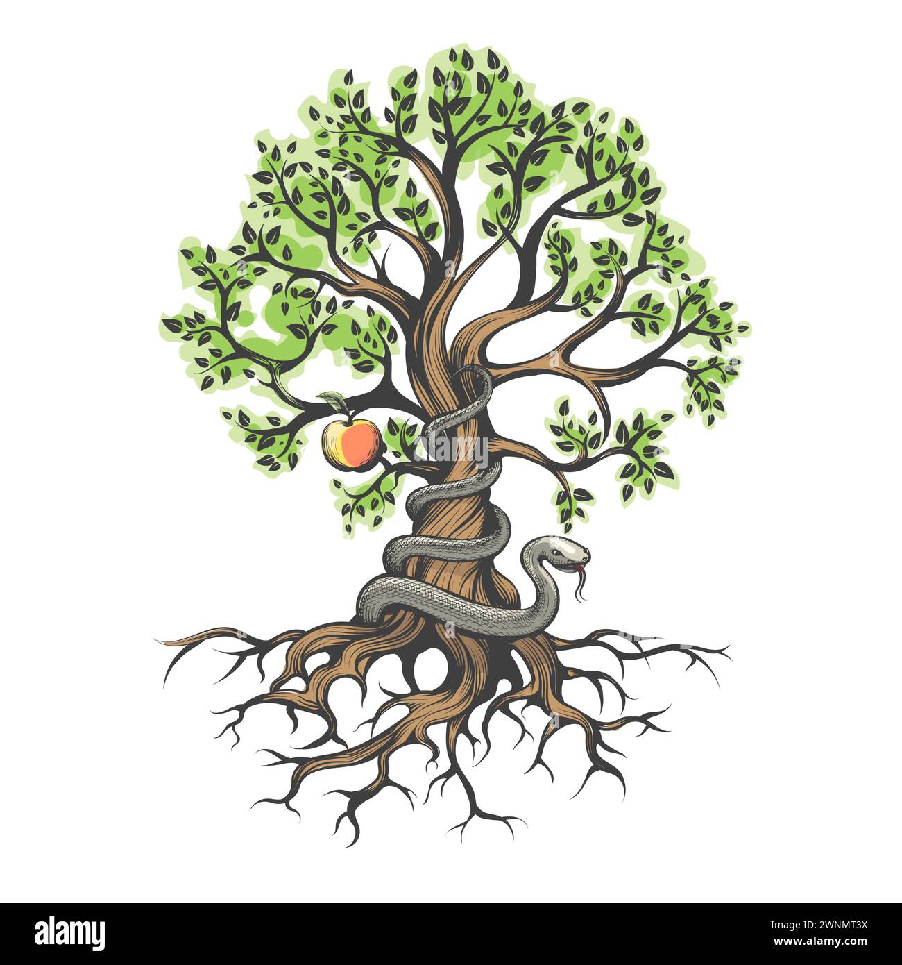 Schlange Tempter wickelt sich um einen Baum des Wissens von gut und Böse isoliert auf weißer Vektor-Illustration. Es wurde keine AI verwendet. Stock Vektor