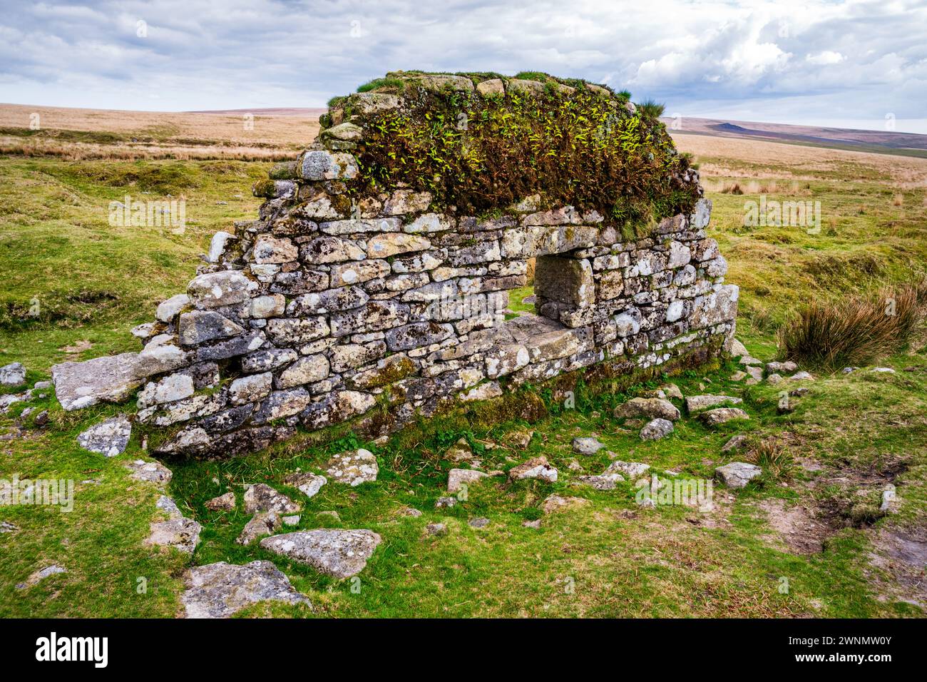 Die Überreste der Stamping Mill No. 2 (1814), Teil der ehemaligen Eylesbarrow Tim Mine, Dartmoor National Park, Devon, England, Großbritannien. Stockfoto