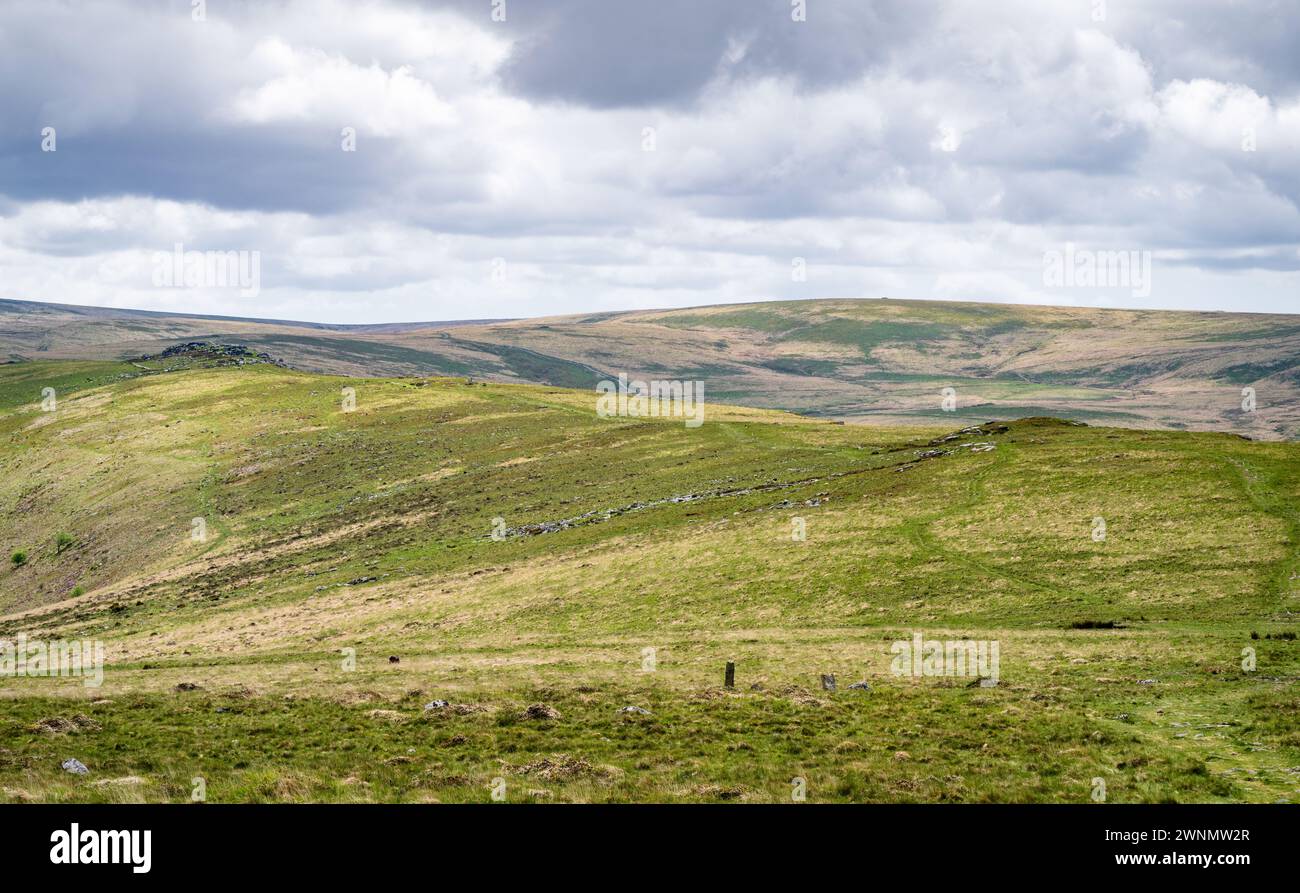 Blick nach Süden vom höheren Tor aus, auf den Weg entlang des Belstone Ridge, der zum Oke Tor führt. Dartmoor-Nationalpark, Devon, England, Großbritannien. Stockfoto