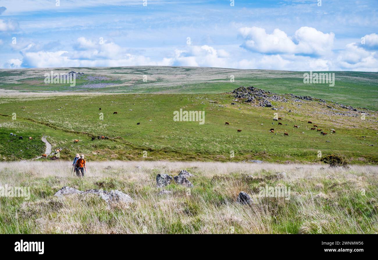 Zwei Wanderer wandern im Ringmoor hinunter, mit Regis Tor rechts und entferntem Hen Tor links. Dartmoor-Nationalpark, Devon, England, Großbritannien. Stockfoto