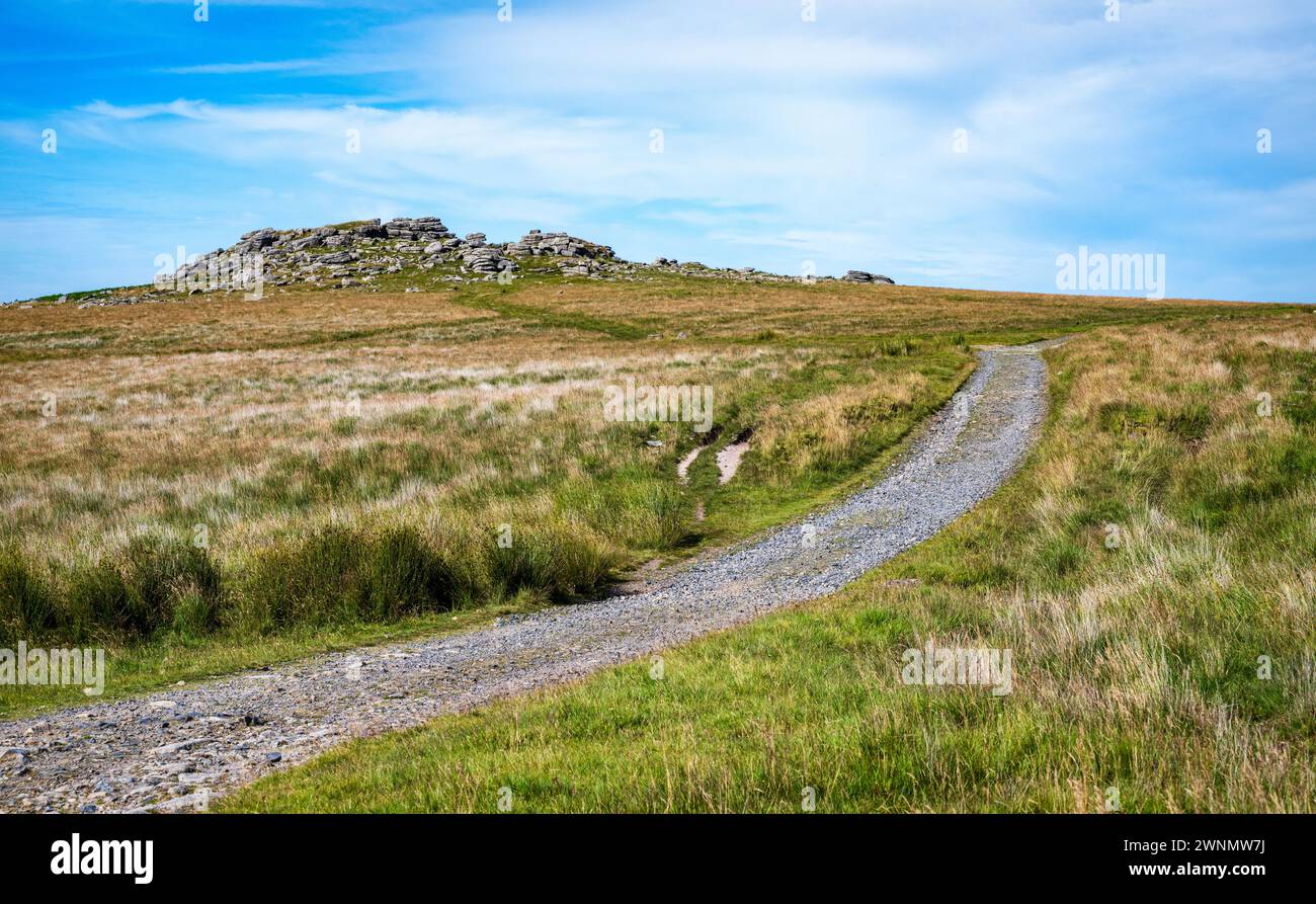 Row Tor, am nördlichen Rand des Dartmoor-Nationalparks, Devon, England, Großbritannien. Stockfoto