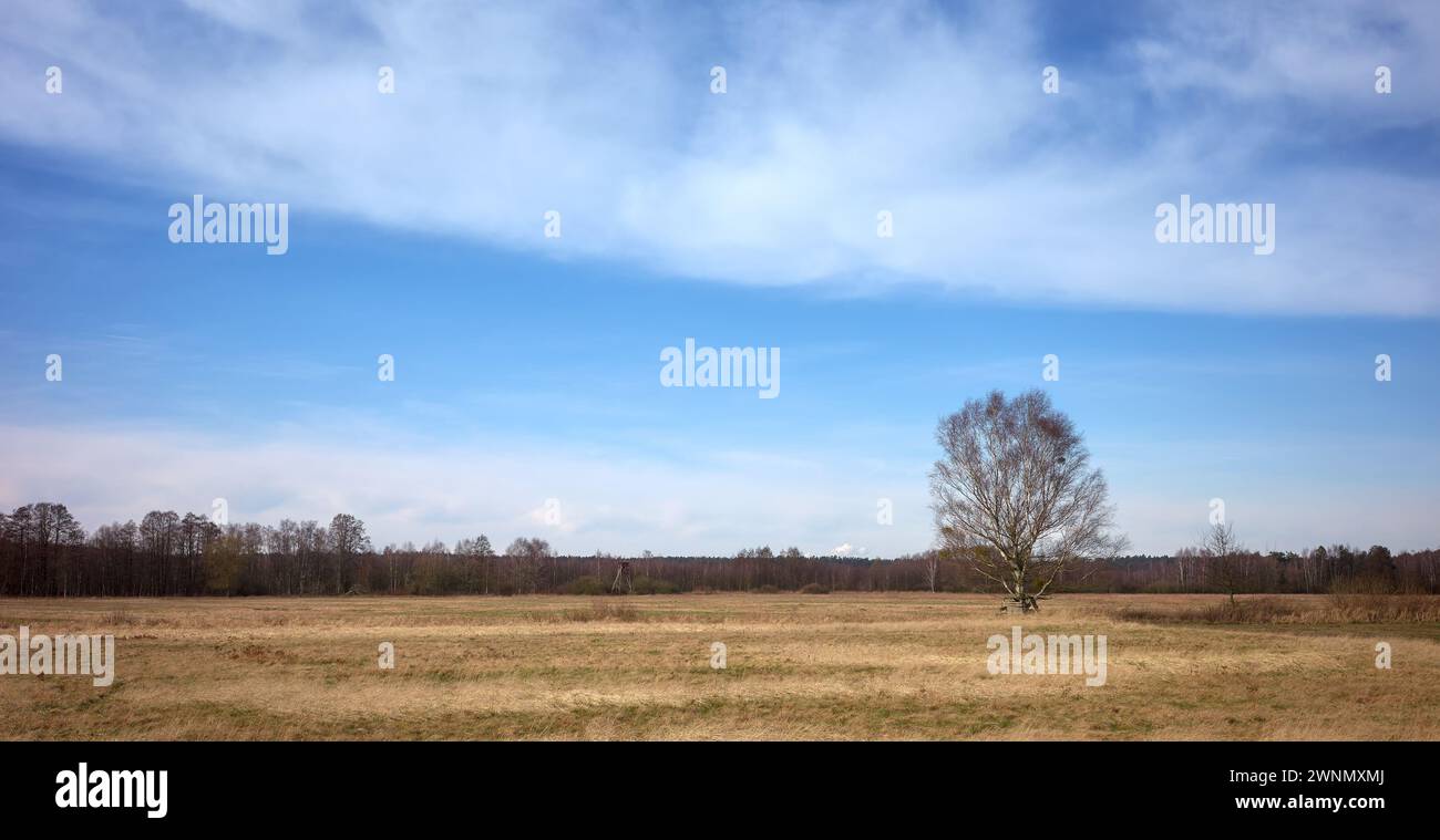 Foto einer ländlichen Landschaft in Nordpolen. Stockfoto