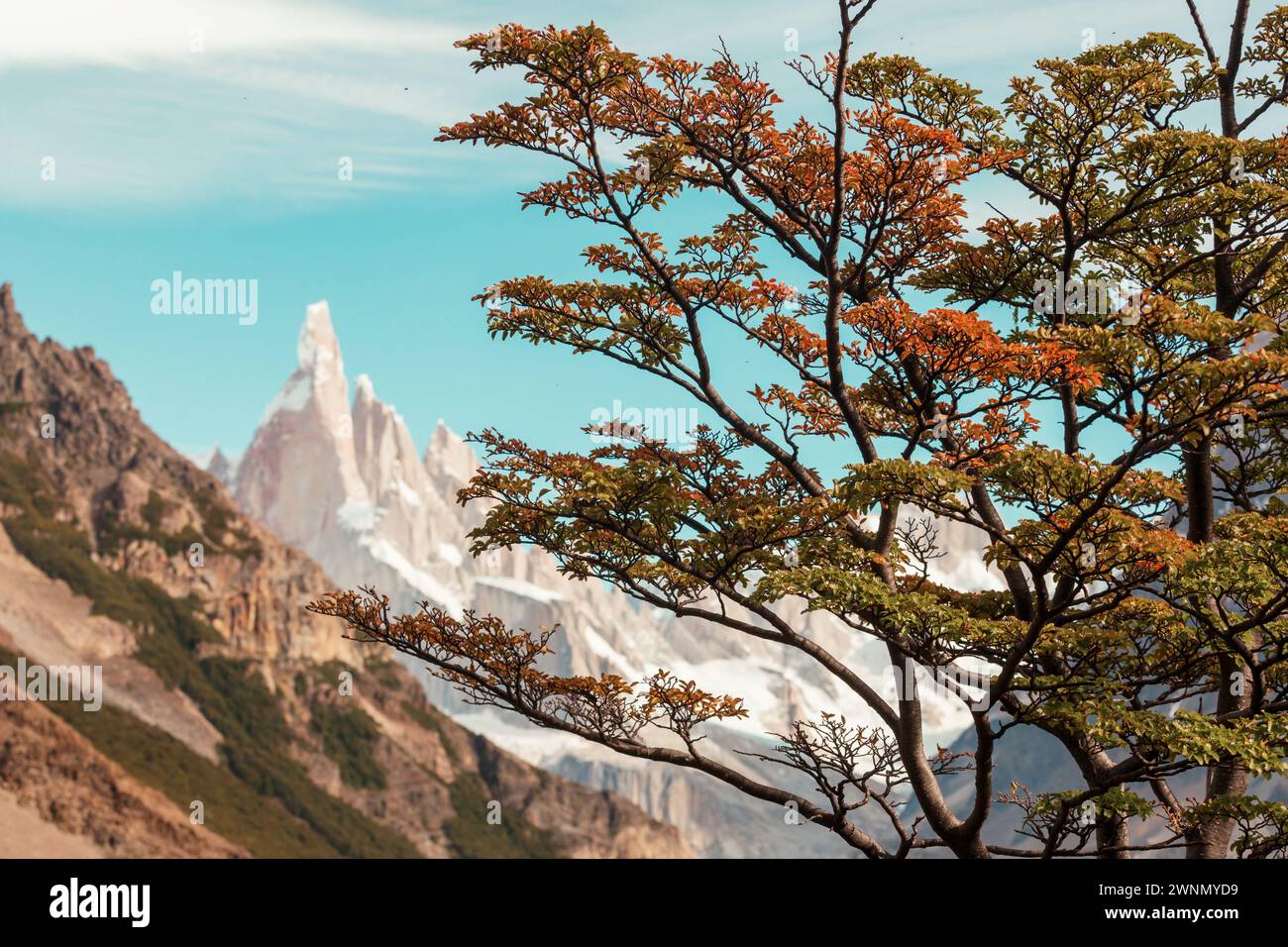Herbst in Patagonien Berge, Südamerika, Argentinien Stockfoto