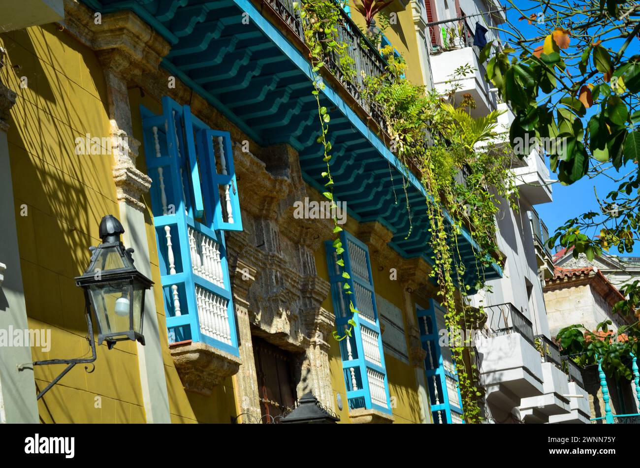 Balkon voller Haushaltspflanzen, hängende Blätter, gelbes altes historisches Gebäude, blauer Balkon, blau-weiße Rollladenpfosten, heller Sonnentag. Stockfoto