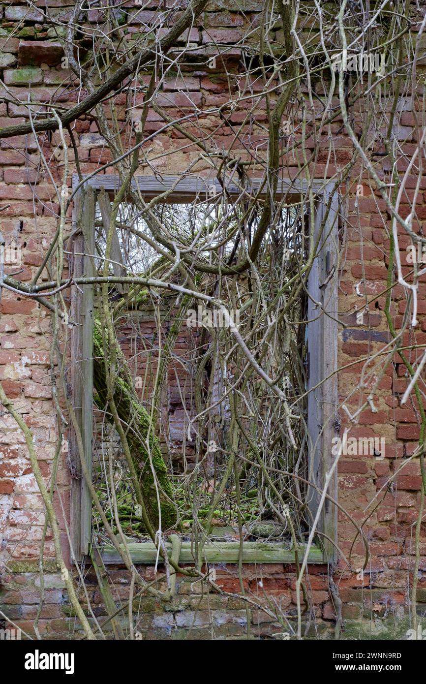 Fensterrahmen in der Außenwand des verlassenen Wracks des zerbröckelnden, einstürzenden Landhauses ungarn Stockfoto