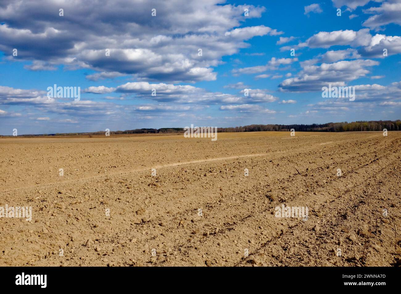 Offenes Ackerland mit reichem Boden und wolkengefülltem Himmel. Stockfoto